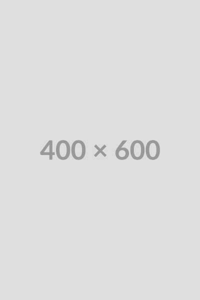 a placeholder for a 400 pixel by 600 pixel image